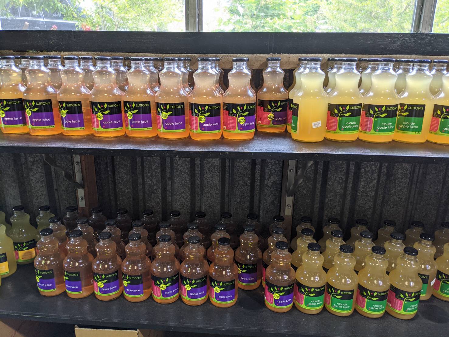 クイーンズランド州の田舎街スタンソープ（Stanthorpe）観光！おすすめスポット紹介 ＆ 3日間満喫コースを勝手にプラン れもん